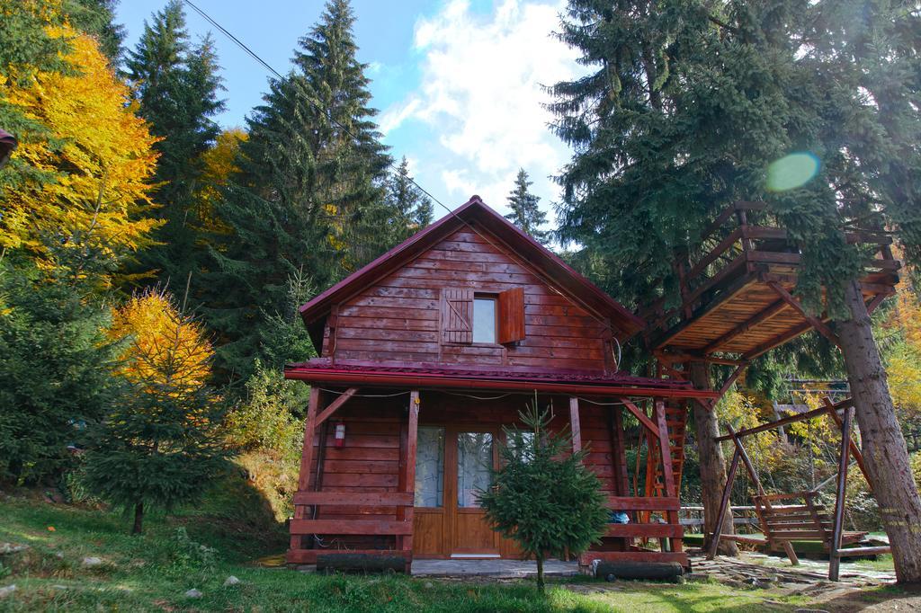 Mountain Apartments Superski Cavnic Pokój zdjęcie